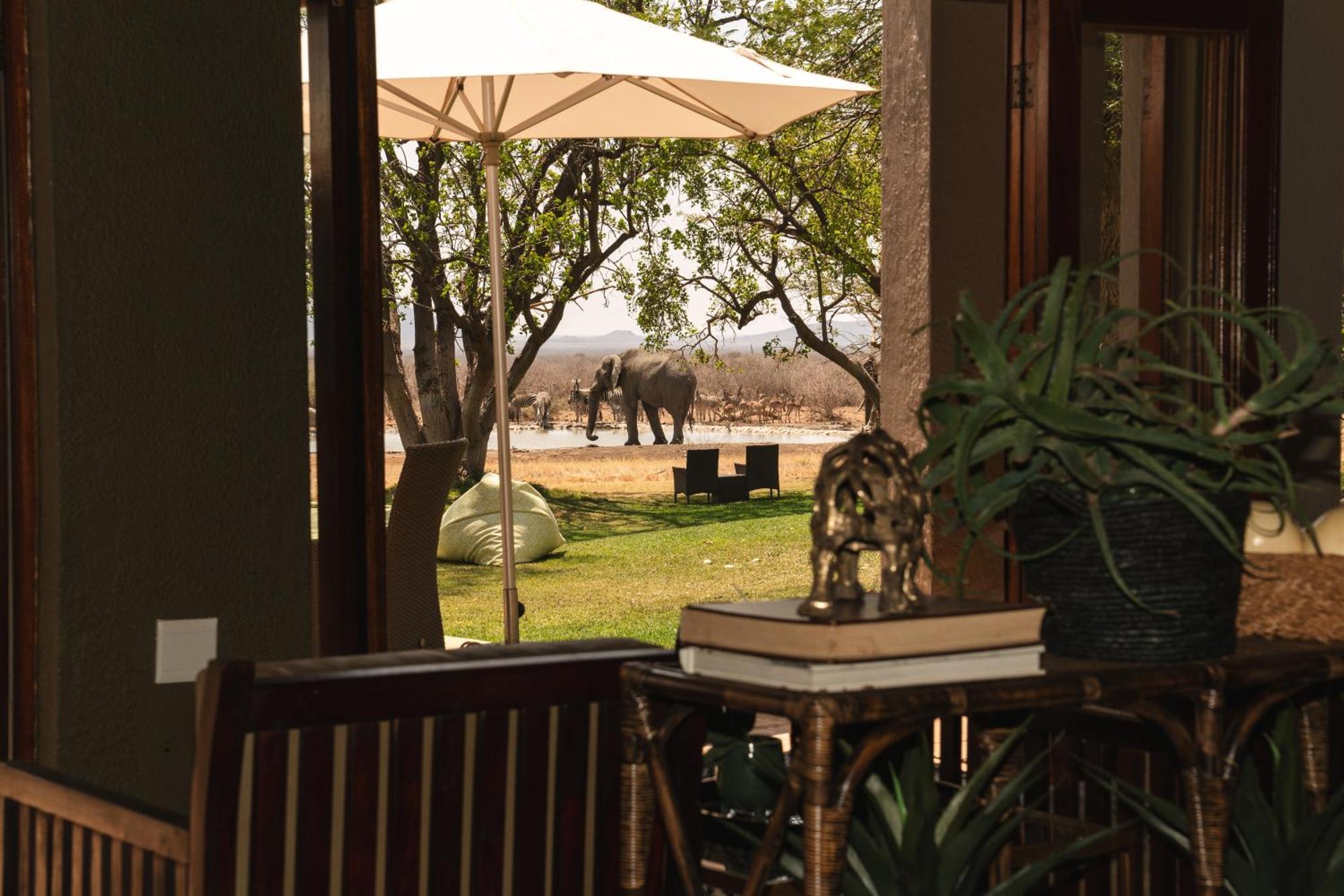 Last Word Madikwe Madikwe Wildreservaat Buitenkant foto
