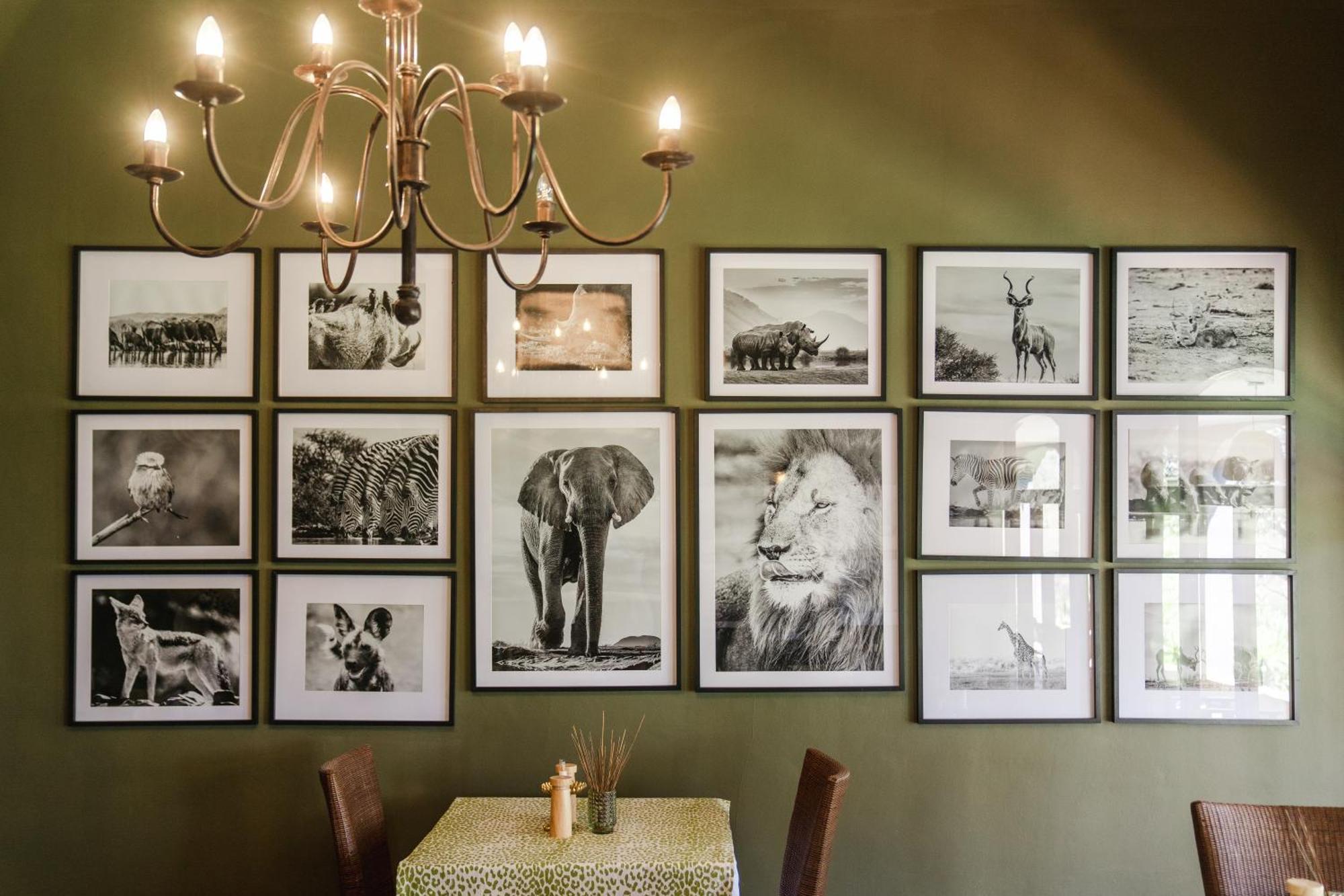 Last Word Madikwe Madikwe Wildreservaat Buitenkant foto