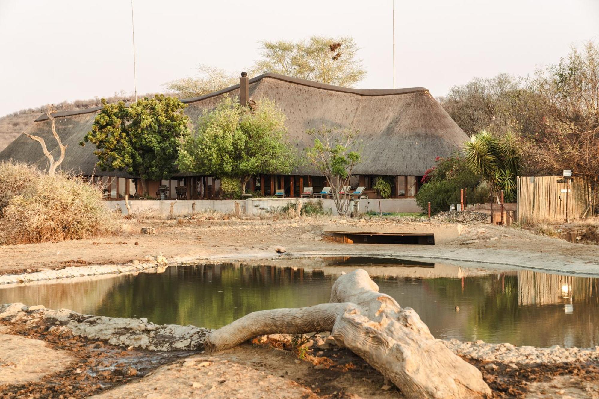 Last Word Madikwe Madikwe Wildreservaat Buitenkant foto